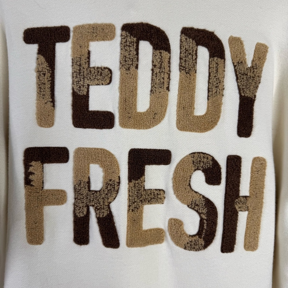 Teddy Fresh Cream Pullover Hoodie Chenille Varsity Letters NWT Size Small - Picture 3 of 11